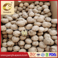 Factory Sale Walnut in Shell 185 /Paper Shell Pure 32mm up New Crop